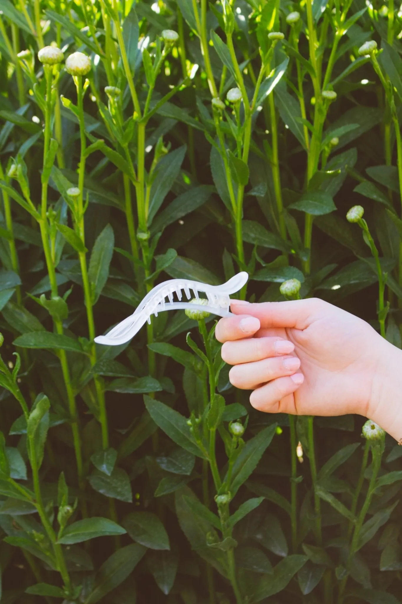 Alligator Claw Clip Andi