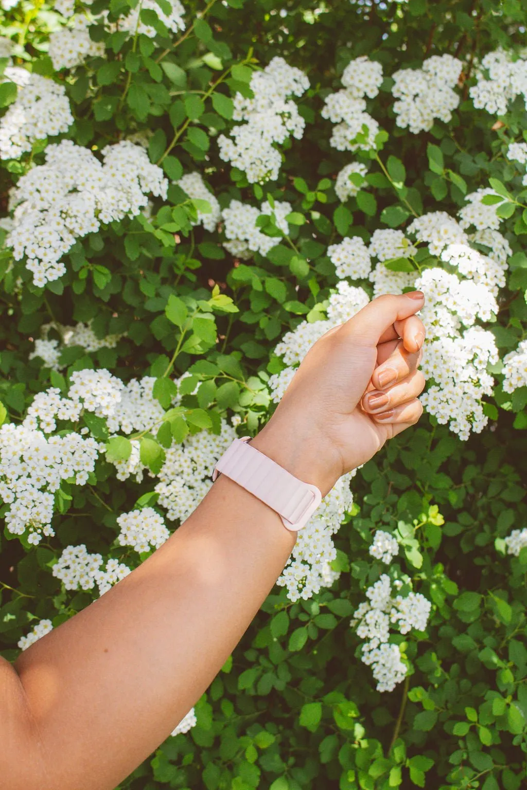 Ballet Pink Magnetic Loop Watch Band Andi