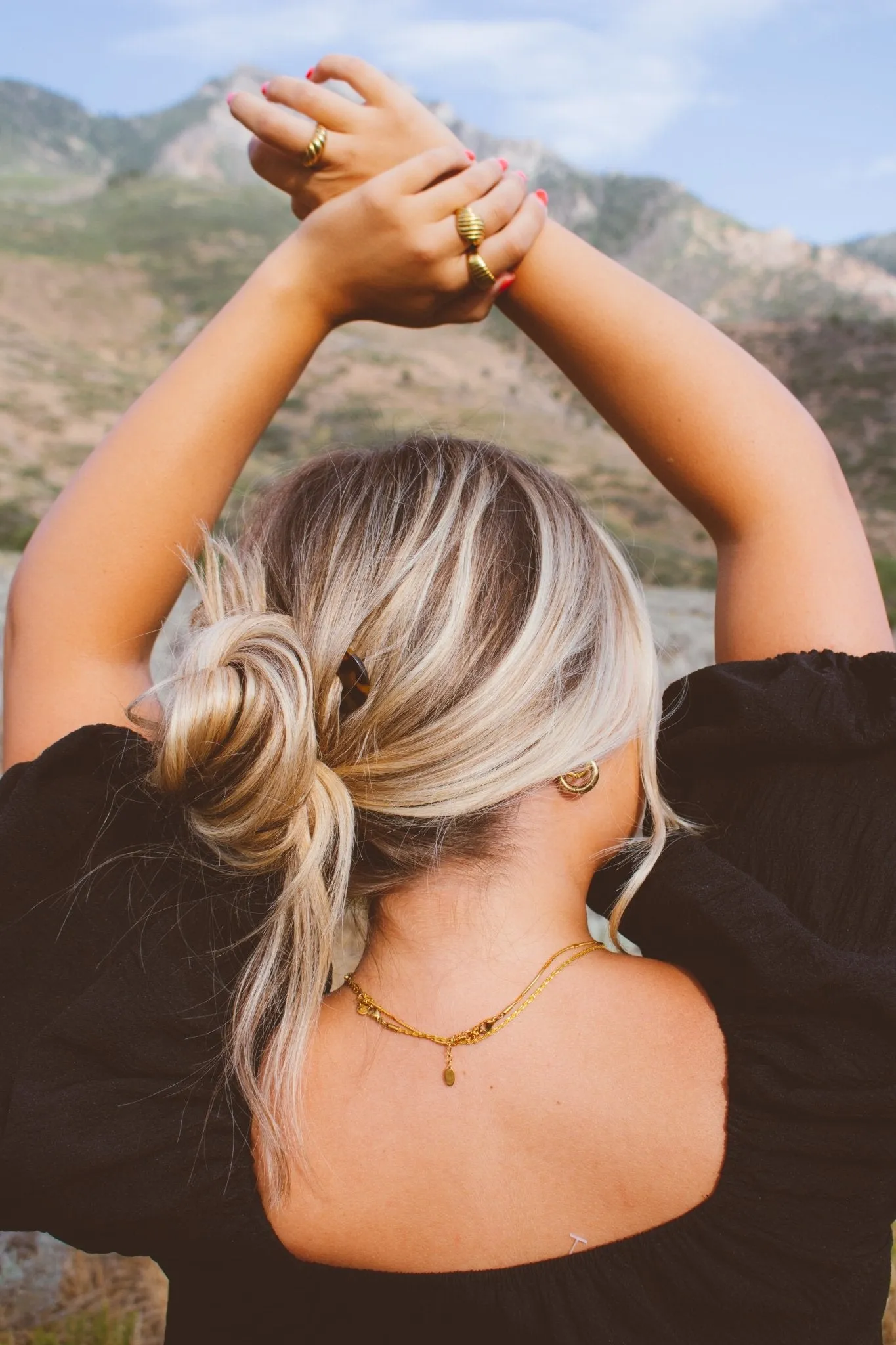 Dark Tortoise Chignon Pin Andi