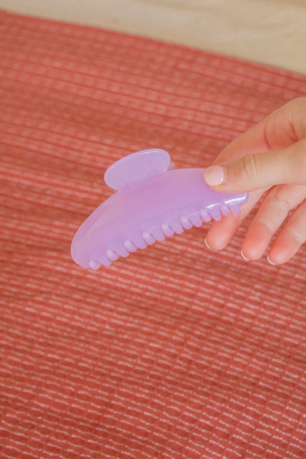 Jelly Claw Clip Andi