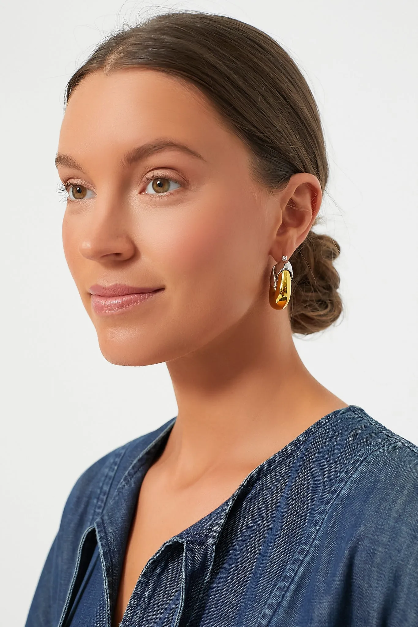 Mixed Metal Organic Hoops