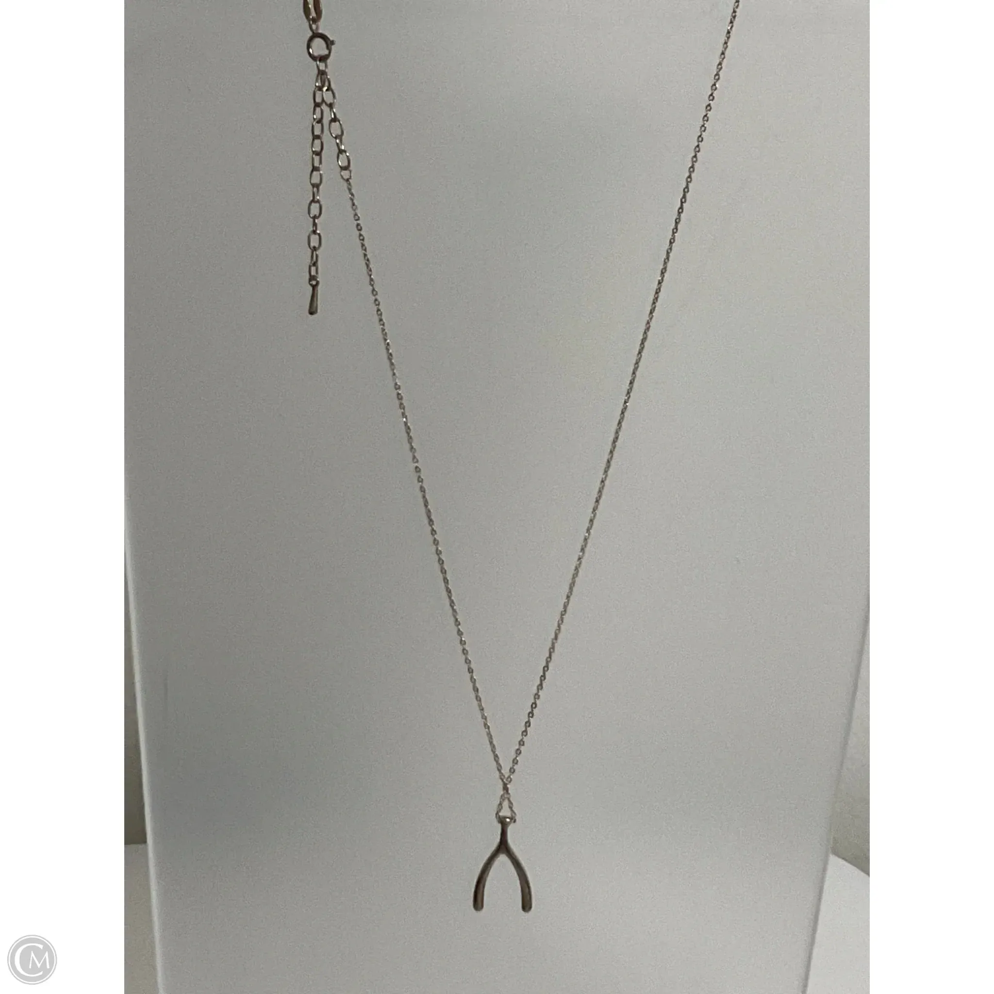 Necklace Chain By Cmb