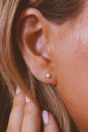 Pearl Studs - Hypoallergenic Andi