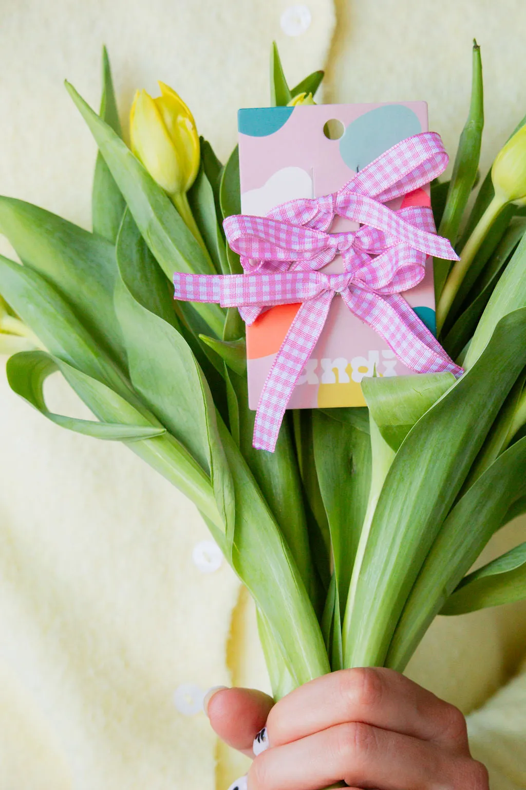 Pink Gingham Clip 3-pack Andi