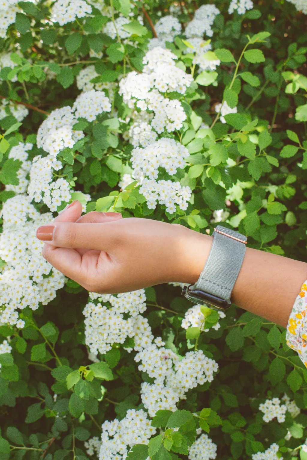 Sage Adjustable Elastic Watch Band Andi