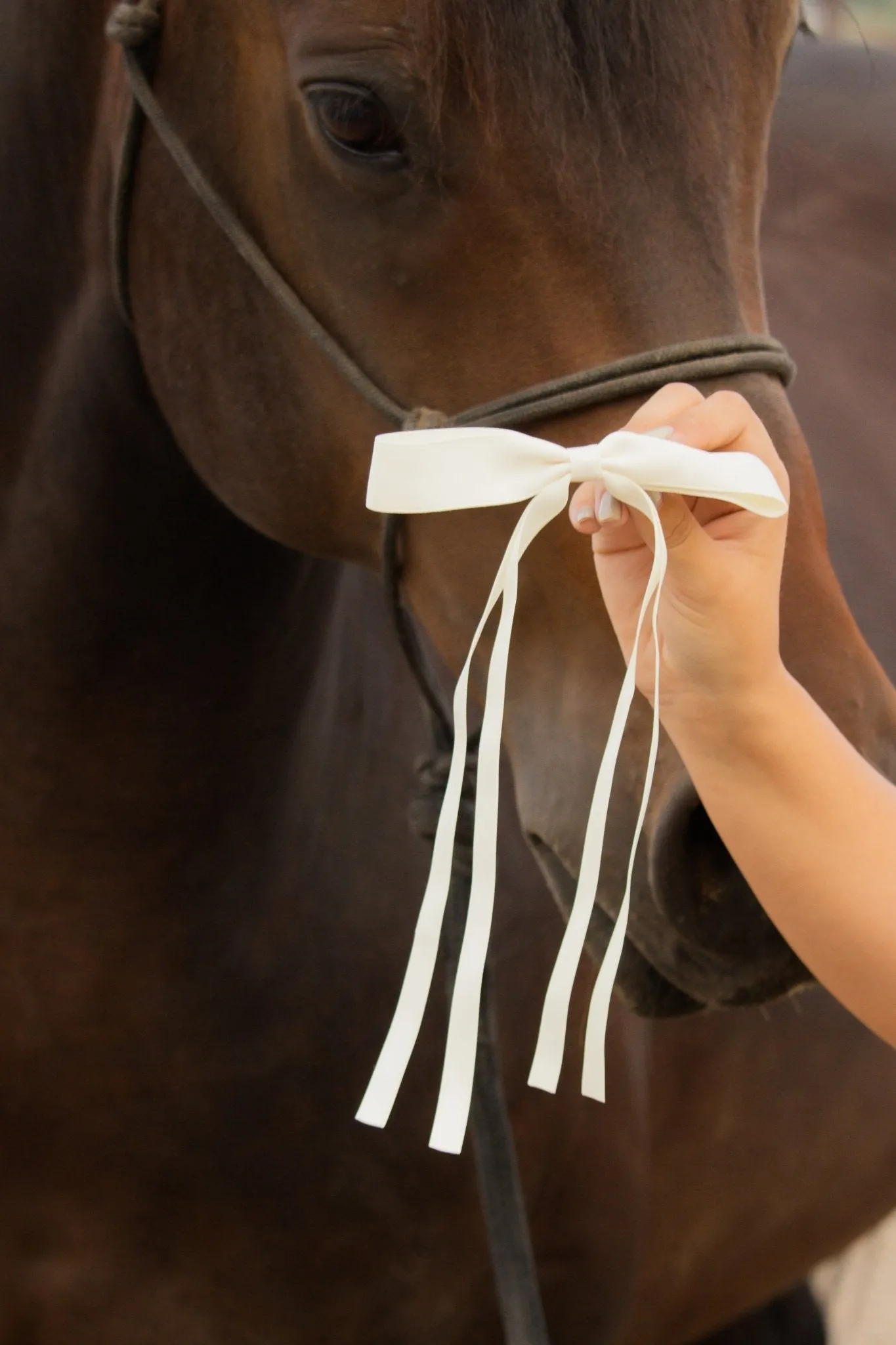 Satin Ribbon Long Bow Clip Andi