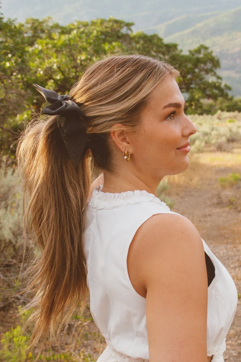 Sheer Bow Banana Claw Clip Andi
