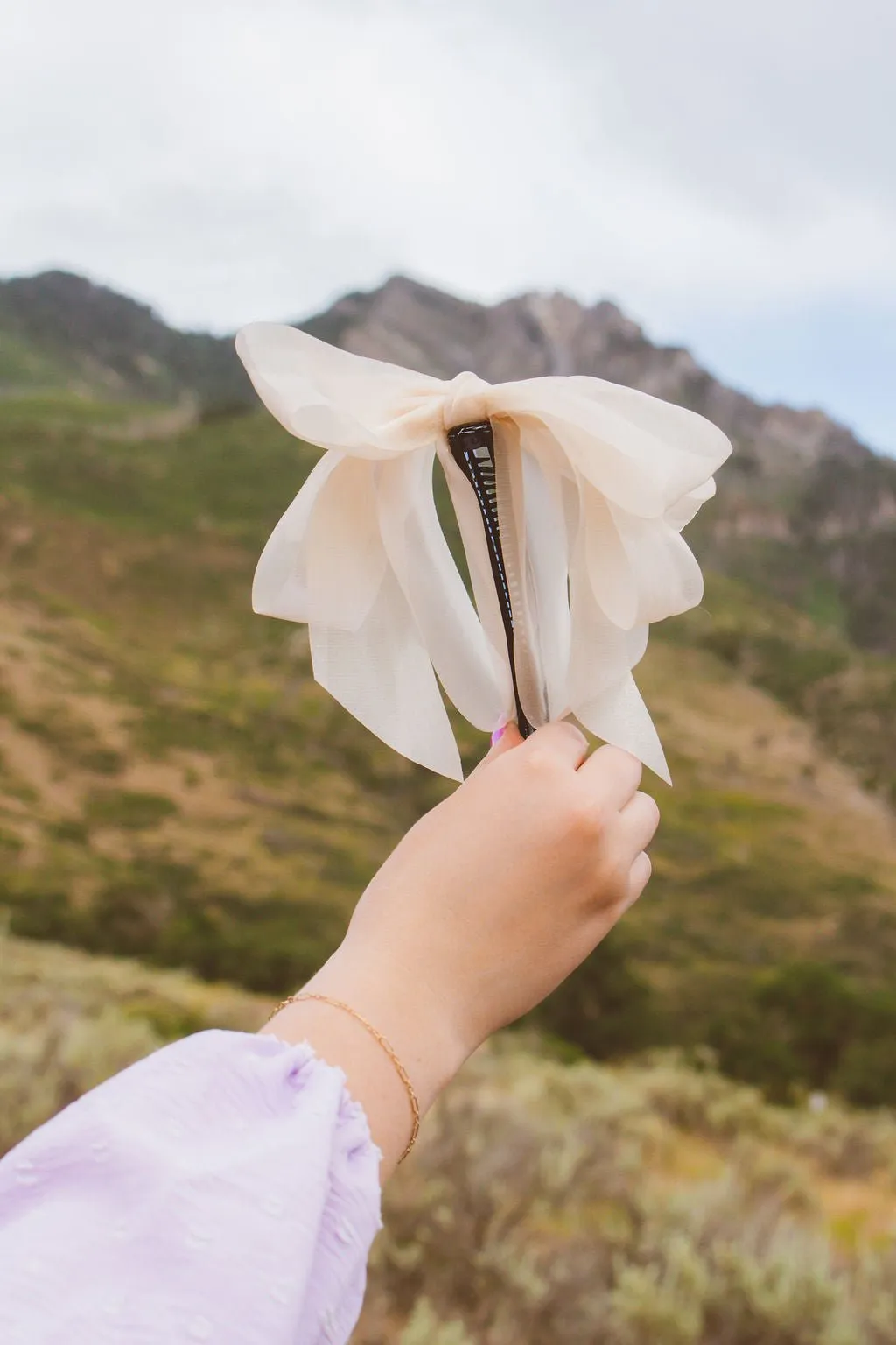 Sheer Bow Banana Claw Clip Andi