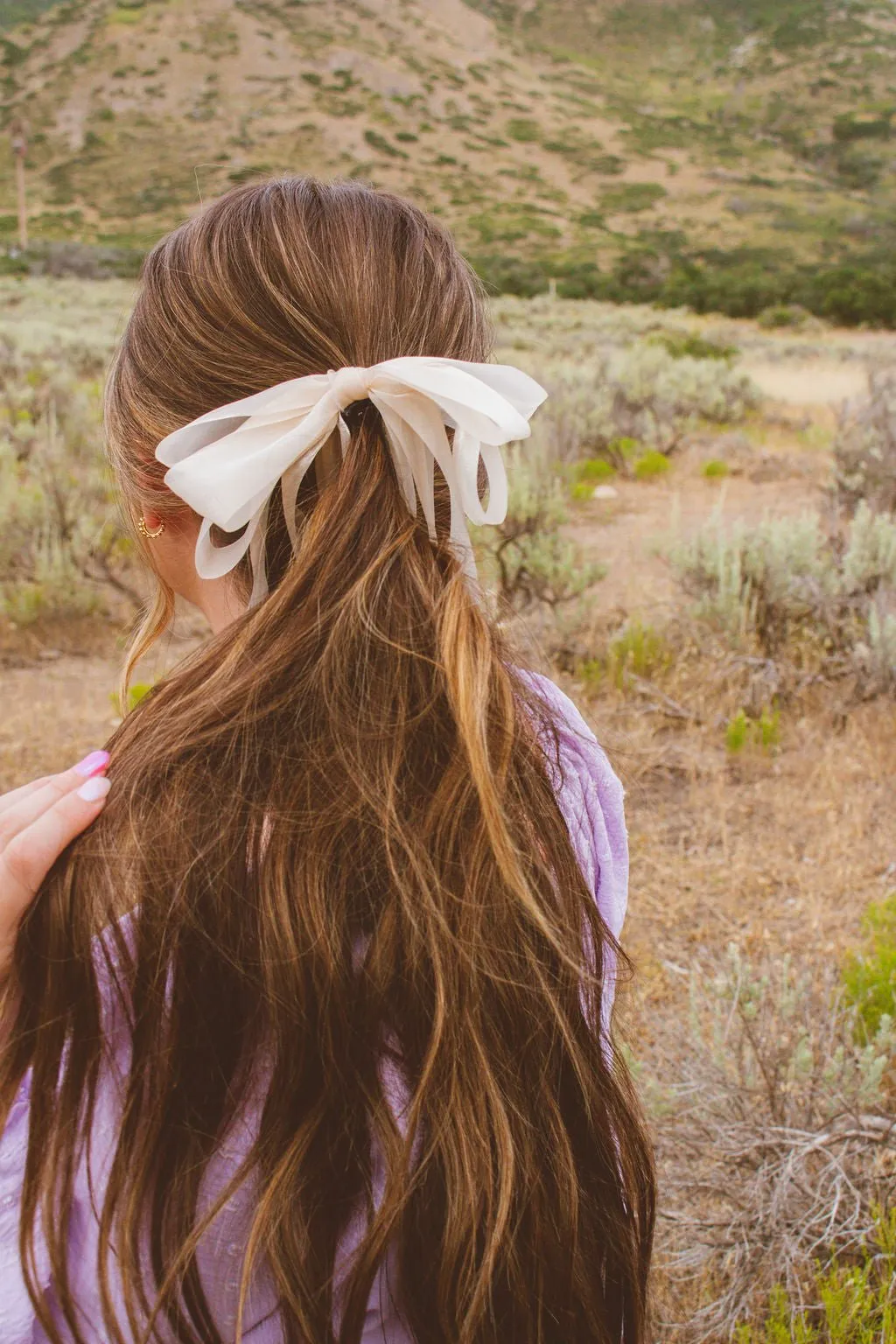 Sheer Bow Banana Claw Clip Andi