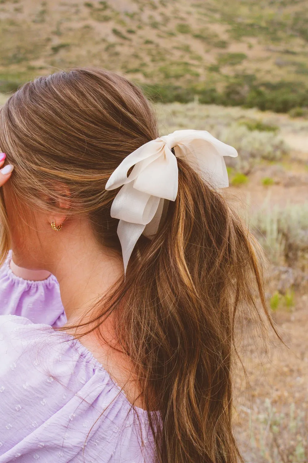 Sheer Bow Banana Claw Clip Andi