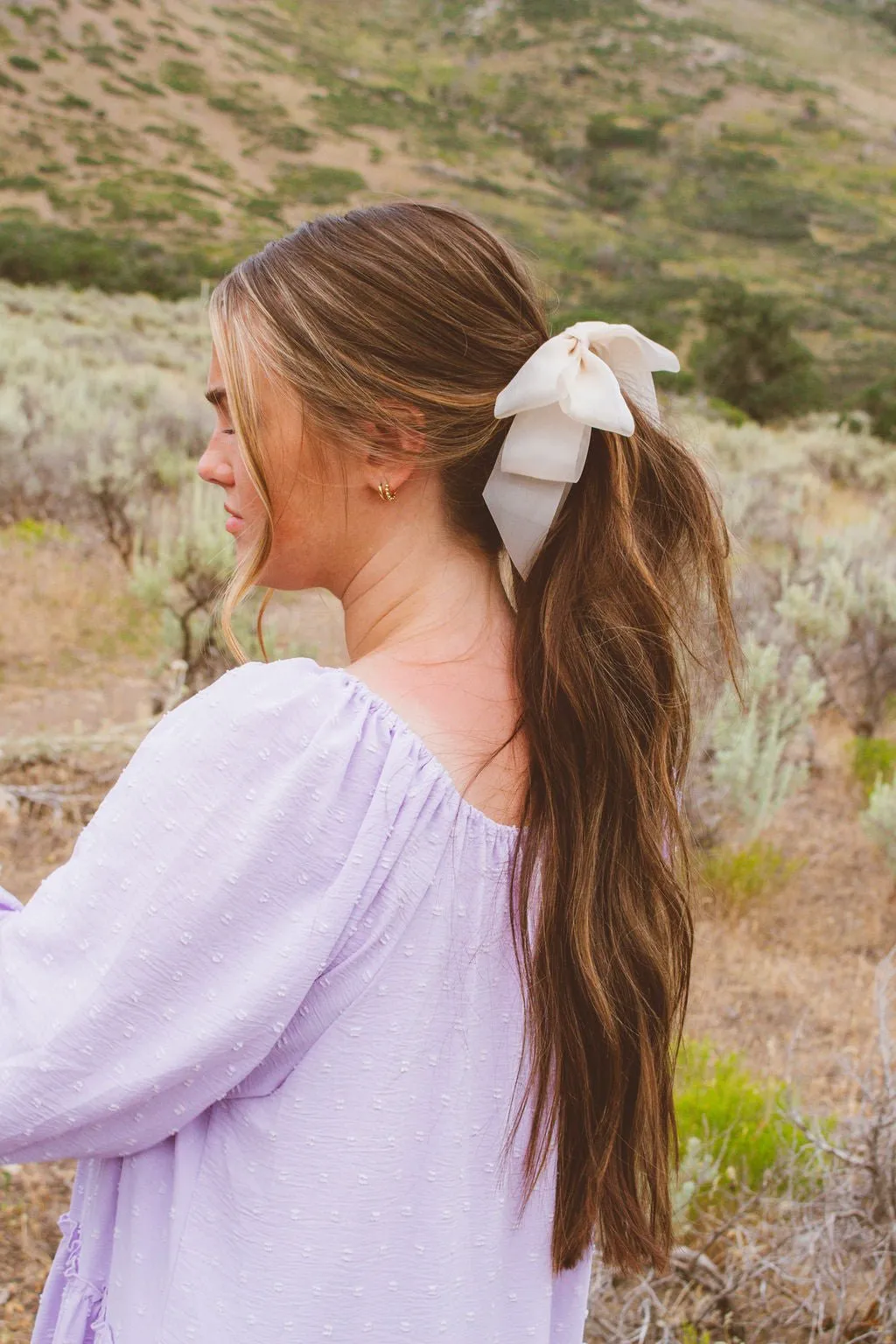 Sheer Bow Banana Claw Clip Andi