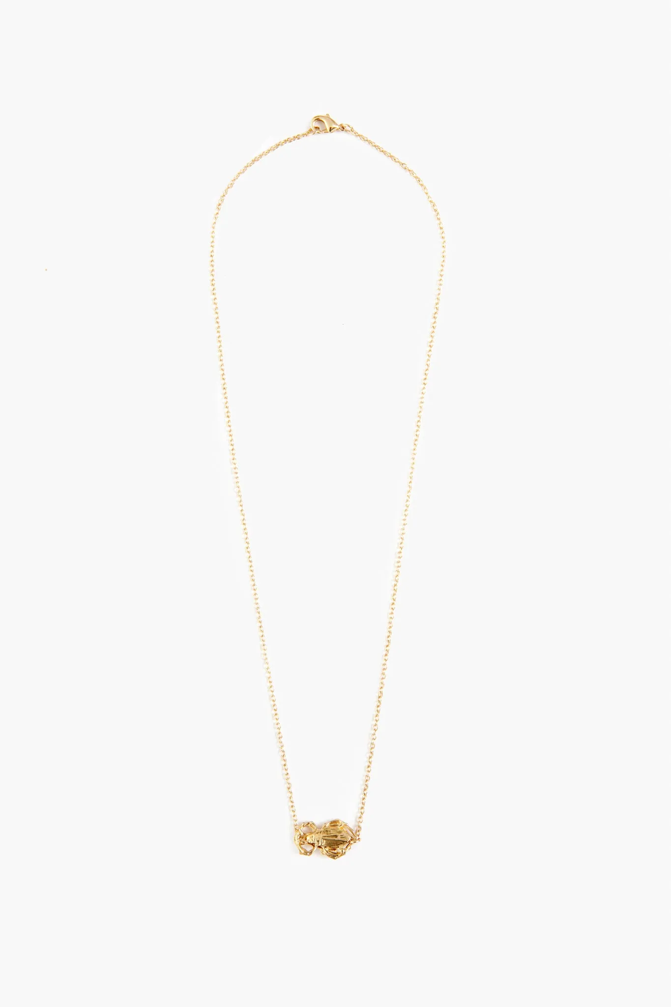 Single Goldbug Necklace