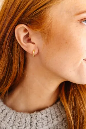 Spiral Hoops - Hypoallergenic Andi