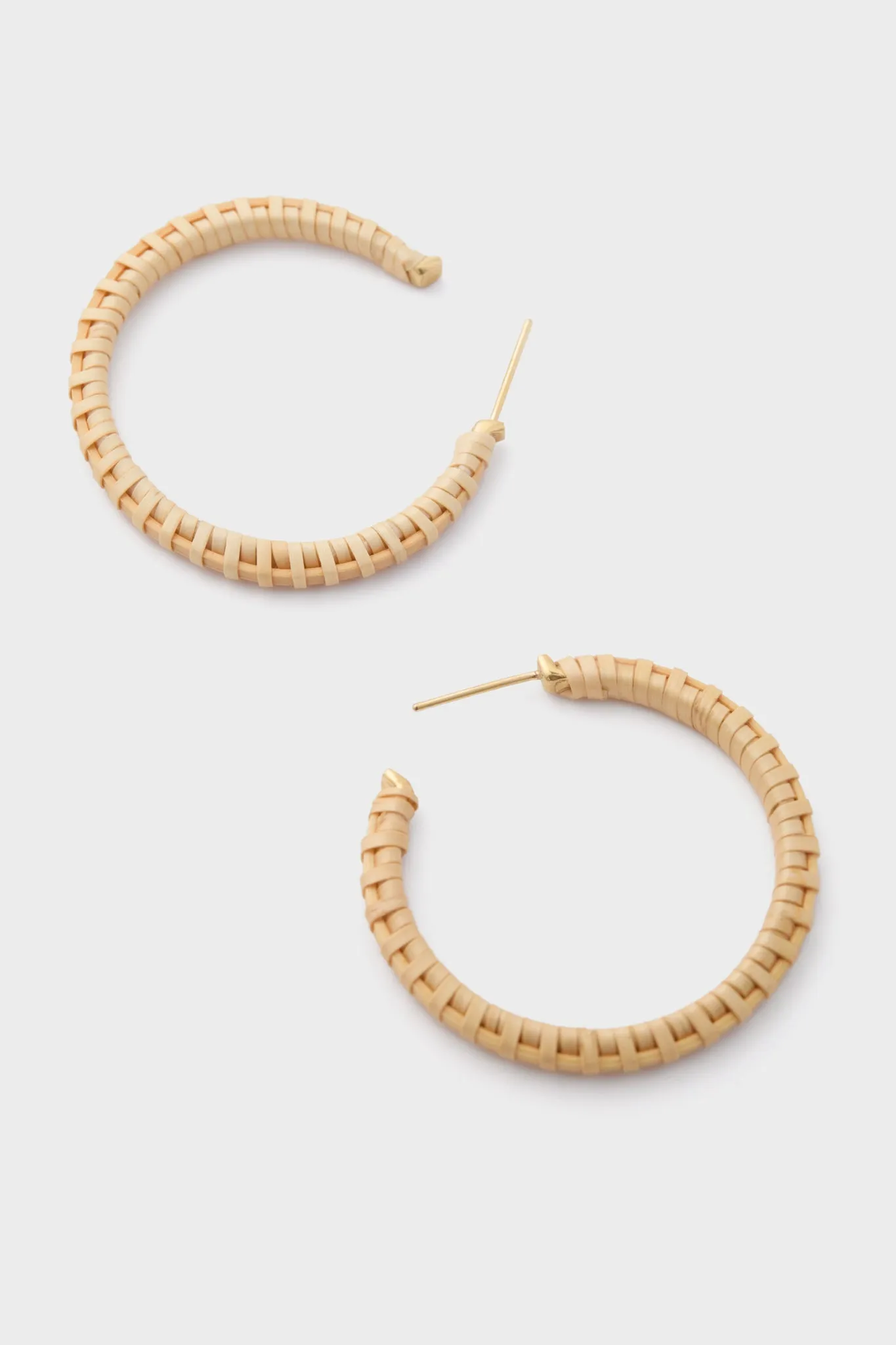 The Hoop Earrings