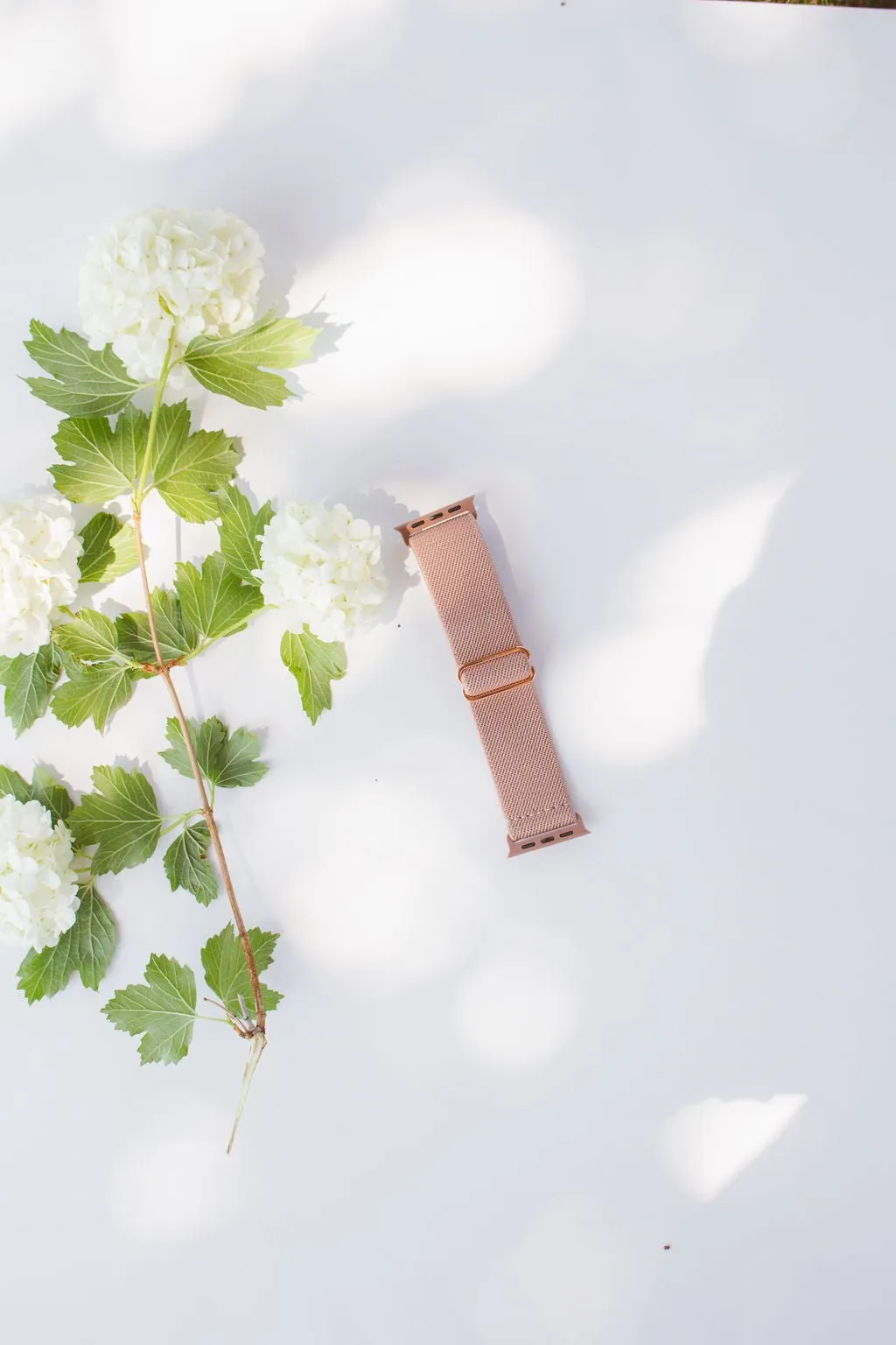 Toasted Rose Adjustable Elastic Watch Band Andi