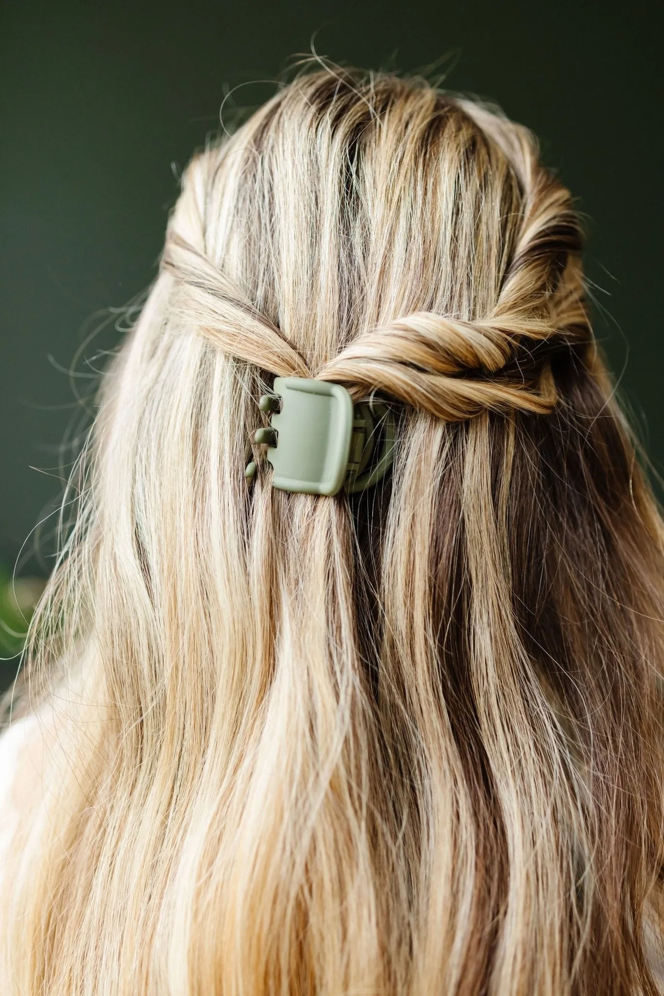 Wren Claw Clip Andi